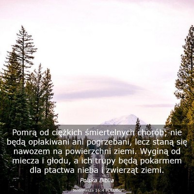 Picture 03 - Jeremiasza 16:4 POLUBG - Pomrą od ciężkich śmiertelnych chorób; nie - Bible Verse Picture
