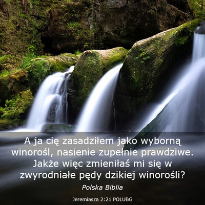Picture 03 - Jeremiasza 2:21 POLUBG - A ja cię zasadziłem jako wyborną winorośl, - Bible Verse Picture