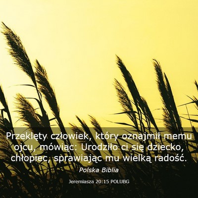 Picture 03 - Jeremiasza 20:15 POLUBG - Przeklęty człowiek, który oznajmił memu ojcu, - Bible Verse Picture