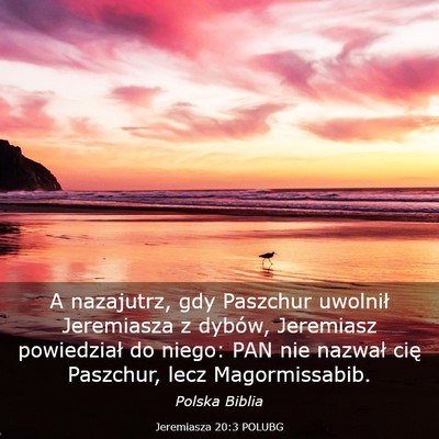 Picture 03 - Jeremiasza 20:3 POLUBG - A nazajutrz, gdy Paszchur uwolnił Jeremiasza z - Bible Verse Picture