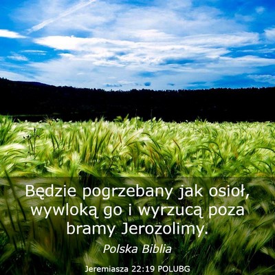 Picture 03 - Jeremiasza 22:19 POLUBG - Będzie pogrzebany jak osioł, wywloką go i - Bible Verse Picture