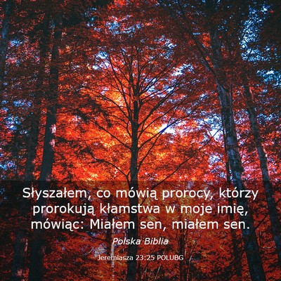 Picture 03 - Jeremiasza 23:25 POLUBG - Słyszałem, co mówią prorocy, którzy - Bible Verse Picture