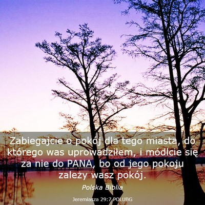 Picture 03 - Jeremiasza 29:7 POLUBG - Zabiegajcie o pokój dla tego miasta, do którego - Bible Verse Picture
