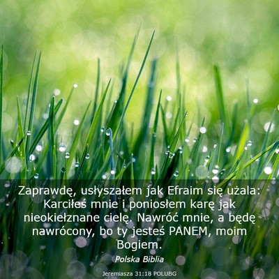 Picture 03 - Jeremiasza 31:18 POLUBG - Zaprawdę, usłyszałem jak Efraim się użala: - Bible Verse Picture