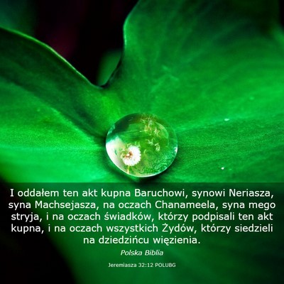 Picture 03 - Jeremiasza 32:12 POLUBG - I oddałem ten akt kupna Baruchowi, synowi - Bible Verse Picture