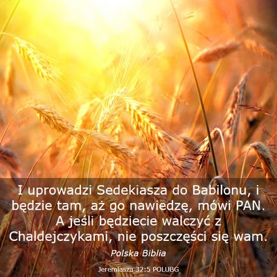 Picture 03 - Jeremiasza 32:5 POLUBG - I uprowadzi Sedekiasza do Babilonu, i będzie - Bible Verse Picture