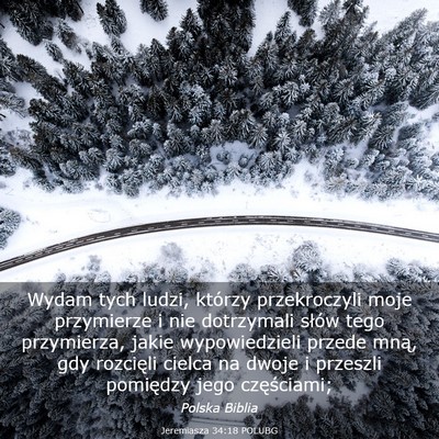 Picture 03 - Jeremiasza 34:18 POLUBG - Wydam tych ludzi, którzy przekroczyli moje - Bible Verse Picture