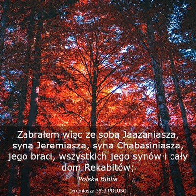 Picture 03 - Jeremiasza 35:3 POLUBG - Zabrałem więc ze sobą Jaazaniasza, syna - Bible Verse Picture