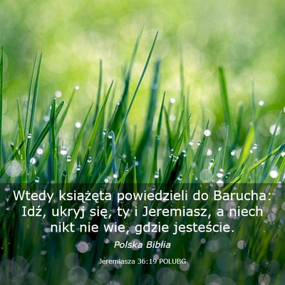 Picture 03 - Jeremiasza 36:19 POLUBG - Wtedy książęta powiedzieli do Barucha: Idź, - Bible Verse Picture
