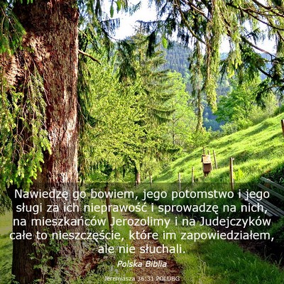 Picture 03 - Jeremiasza 36:31 POLUBG - Nawiedzę go bowiem, jego potomstwo i jego sługi - Bible Verse Picture