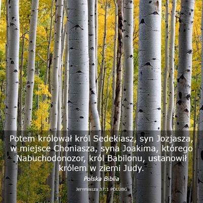 Picture 03 - Jeremiasza 37:1 POLUBG - Potem królował król Sedekiasz, syn Jozjasza, w - Bible Verse Picture