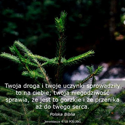 Picture 03 - Jeremiasza 4:18 POLUBG - Twoja droga i twoje uczynki sprowadziły to na - Bible Verse Picture