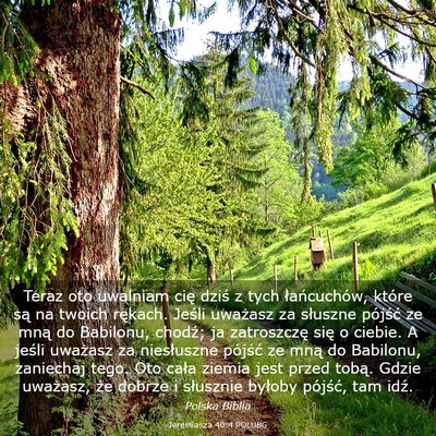 Picture 03 - Jeremiasza 40:4 POLUBG - Teraz oto uwalniam cię dziś z tych - Bible Verse Picture