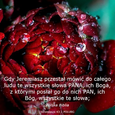 Picture 03 - Jeremiasza 43:1 POLUBG - Gdy Jeremiasz przestał mówić do całego ludu - Bible Verse Picture