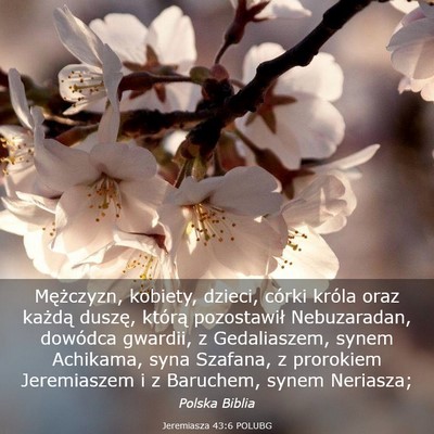 Picture 03 - Jeremiasza 43:6 POLUBG - Mężczyzn, kobiety, dzieci, córki króla oraz - Bible Verse Picture