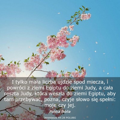 Picture 03 - Jeremiasza 44:28 POLUBG - I tylko mała liczba ujdzie spod miecza, i - Bible Verse Picture
