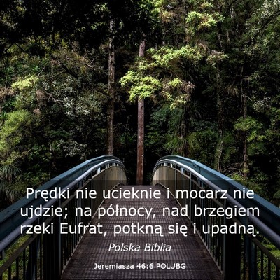 Picture 03 - Jeremiasza 46:6 POLUBG - Prędki nie ucieknie i mocarz nie ujdzie; na - Bible Verse Picture