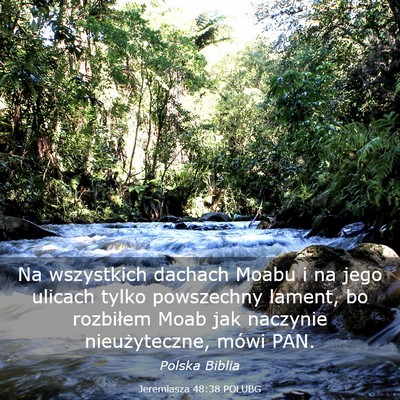 Picture 03 - Jeremiasza 48:38 POLUBG - Na wszystkich dachach Moabu i na jego ulicach - Bible Verse Picture