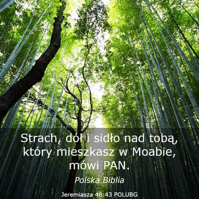 Picture 03 - Jeremiasza 48:43 POLUBG - Strach, dół i sidło nad tobą, który - Bible Verse Picture