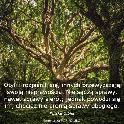 Picture 03 - Jeremiasza 5:28 POLUBG - Otyli i rozjaśnili się, innych przewyższają - Bible Verse Picture