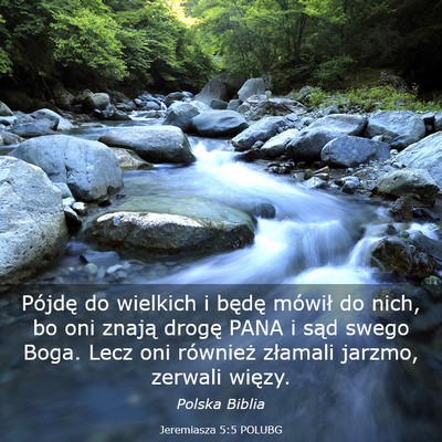 Picture 03 - Jeremiasza 5:5 POLUBG - Pójdę do wielkich i będę mówił do nich, bo - Bible Verse Picture