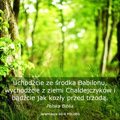 Picture 03 - Jeremiasza 50:8 POLUBG - Uchodźcie ze środka Babilonu, wychodźcie z - Bible Verse Picture