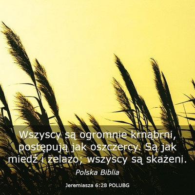 Picture 03 - Jeremiasza 6:28 POLUBG - Wszyscy są ogromnie krnąbrni, postępują jak - Bible Verse Picture