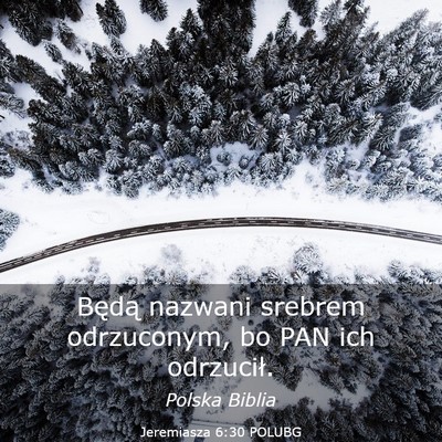 Picture 03 - Jeremiasza 6:30 POLUBG - Będą nazwani srebrem odrzuconym, bo PAN ich - Bible Verse Picture