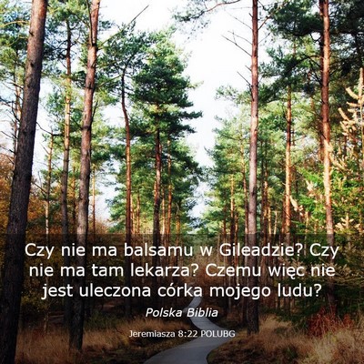 Picture 03 - Jeremiasza 8:22 POLUBG - Czy nie ma balsamu w Gileadzie? Czy nie ma tam - Bible Verse Picture