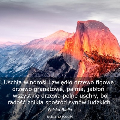 Picture 03 - Joela 1:12 POLUBG - Uschła winorośl i zwiędło drzewo figowe; - Bible Verse Picture