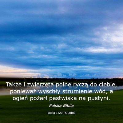 Picture 03 - Joela 1:20 POLUBG - Także i zwierzęta polne ryczą do ciebie, - Bible Verse Picture