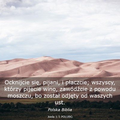 Picture 03 - Joela 1:5 POLUBG - Ocknijcie się, pijani, i płaczcie; wszyscy, - Bible Verse Picture