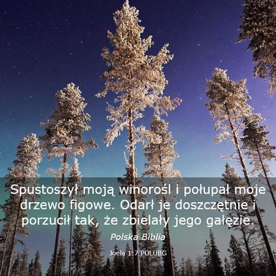 Picture 03 - Joela 1:7 POLUBG - Spustoszył moją winorośl i połupał moje - Bible Verse Picture