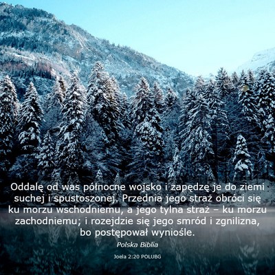 Picture 03 - Joela 2:20 POLUBG - Oddalę od was północne wojsko i zapędzę je - Bible Verse Picture
