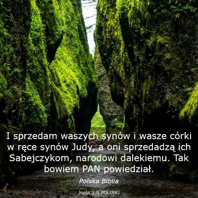 Picture 03 - Joela 3:8 POLUBG - I sprzedam waszych synów i wasze córki w ręce - Bible Verse Picture
