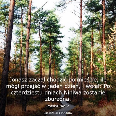 Picture 03 - Jonasza 3:4 POLUBG - Jonasz zaczął chodzić po mieście, ile mógł - Bible Verse Picture
