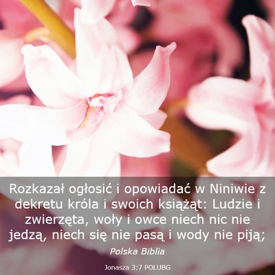Picture 03 - Jonasza 3:7 POLUBG - Rozkazał ogłosić i opowiadać w Niniwie z - Bible Verse Picture