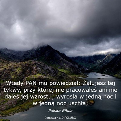Picture 03 - Jonasza 4:10 POLUBG - Wtedy PAN mu powiedział: Żałujesz tej tykwy, - Bible Verse Picture