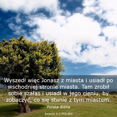 Picture 03 - Jonasza 4:5 POLUBG - Wyszedł więc Jonasz z miasta i usiadł po - Bible Verse Picture