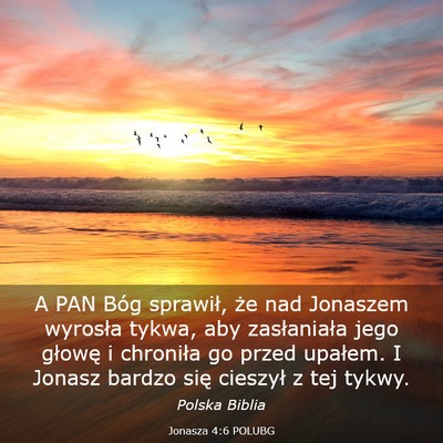Picture 03 - Jonasza 4:6 POLUBG - A PAN Bóg sprawił, że nad Jonaszem wyrosła - Bible Verse Picture