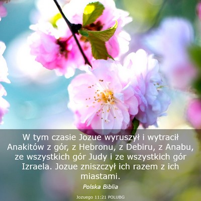 Picture 03 - Jozuego 11:21 POLUBG - W tym czasie Jozue wyruszył i wytracił - Bible Verse Picture
