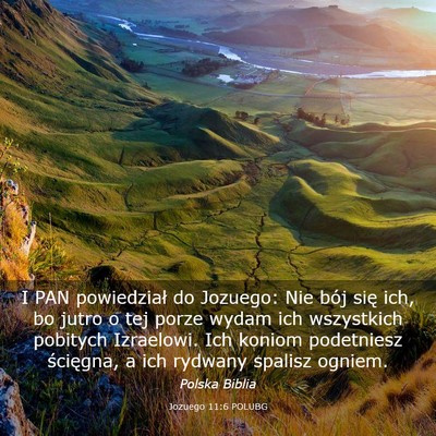 Picture 03 - Jozuego 11:6 POLUBG - I PAN powiedział do Jozuego: Nie bój się ich, - Bible Verse Picture