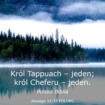 Picture 03 - Jozuego 12:17 POLUBG - Król Tappuach – jeden; król Cheferu – - Bible Verse Picture