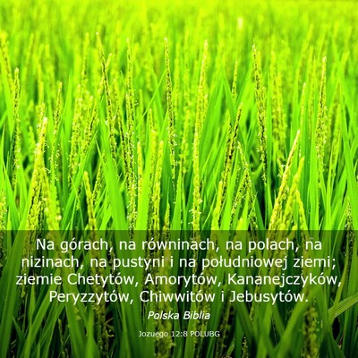 Picture 03 - Jozuego 12:8 POLUBG - Na górach, na równinach, na polach, na - Bible Verse Picture