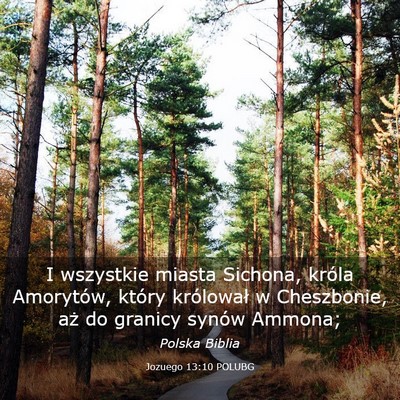Picture 03 - Jozuego 13:10 POLUBG - I wszystkie miasta Sichona, króla Amorytów, - Bible Verse Picture