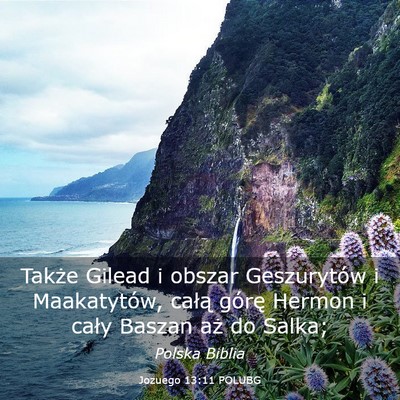 Picture 03 - Jozuego 13:11 POLUBG - Także Gilead i obszar Geszurytów i Maakatytów, - Bible Verse Picture