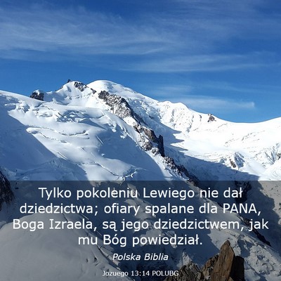 Picture 03 - Jozuego 13:14 POLUBG - Tylko pokoleniu Lewiego nie dał dziedzictwa; - Bible Verse Picture