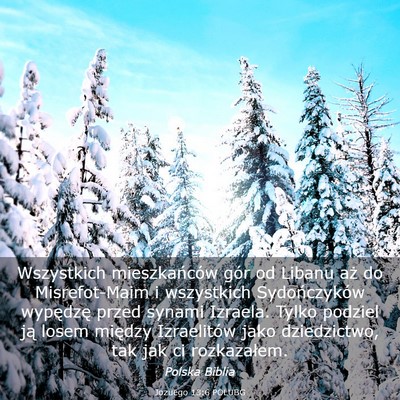 Picture 03 - Jozuego 13:6 POLUBG - Wszystkich mieszkańców gór od Libanu aż do - Bible Verse Picture