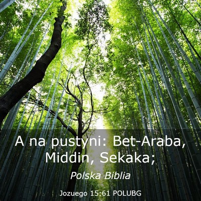 Picture 03 - Jozuego 15:61 POLUBG - A na pustyni: Bet-Araba, Middin, - Bible Verse Picture