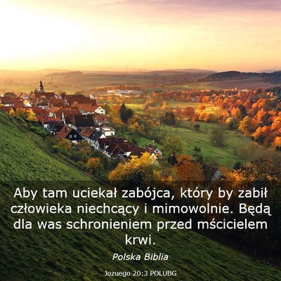 Picture 03 - Jozuego 20:3 POLUBG - Aby tam uciekał zabójca, który by zabił - Bible Verse Picture